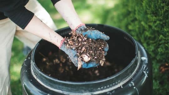 Compost at home